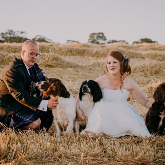 kcrichton-photography-scottish-edinburgh-wedding-photographer-supplier-bride-groom-dogs-pets