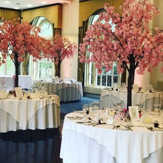 celebre-scottish-dundee-wedding-planner-events-decor-cherry-blossom-trees